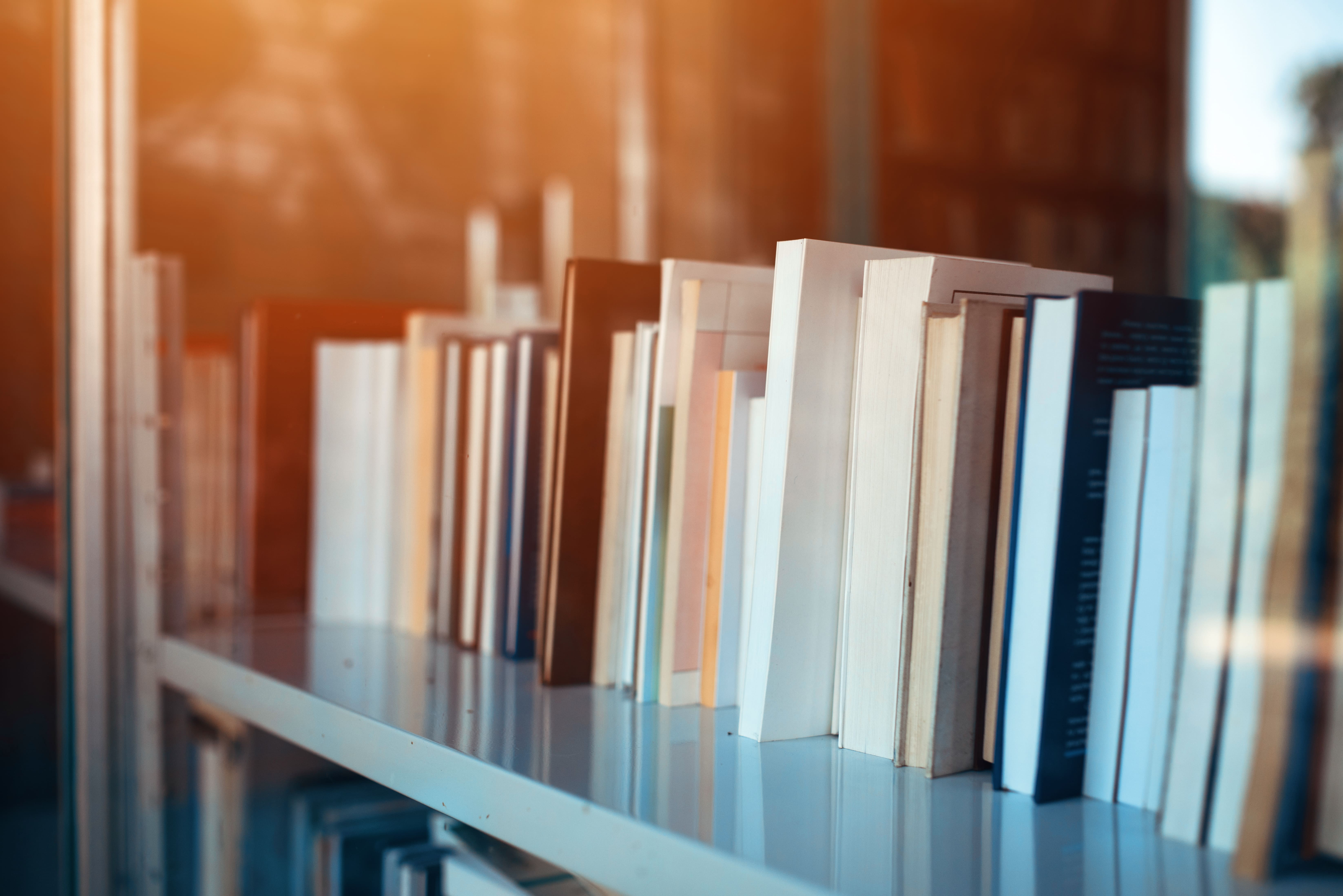 books-on-library-shelf-through-window-2021-04-03-03-53-57-utc (1)