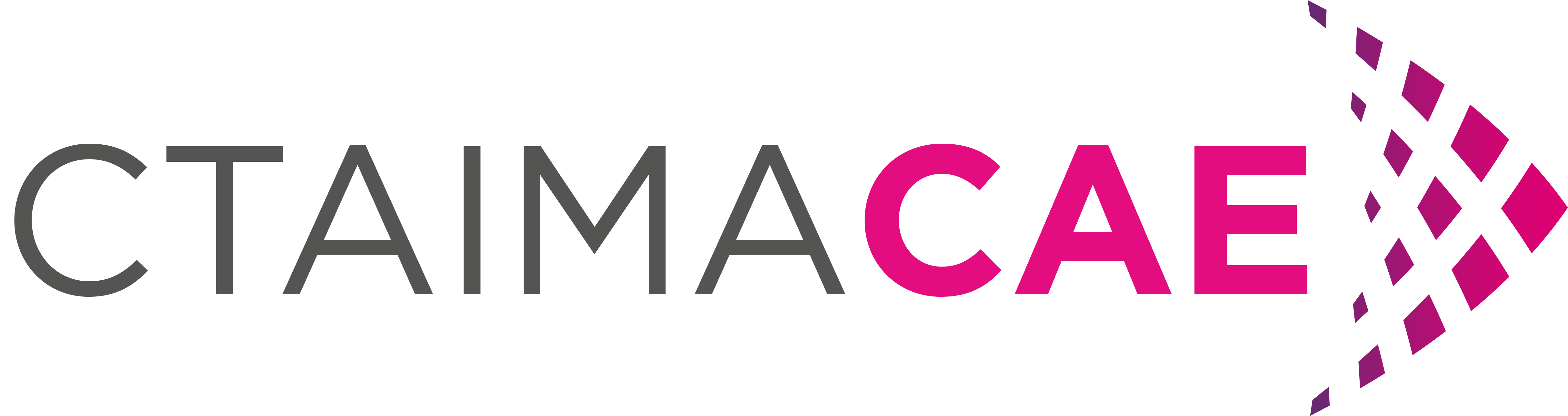 bigCAE