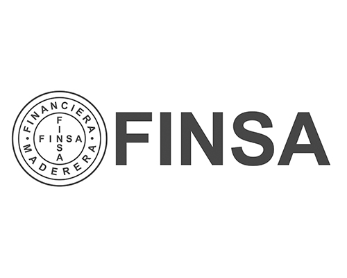 finsa