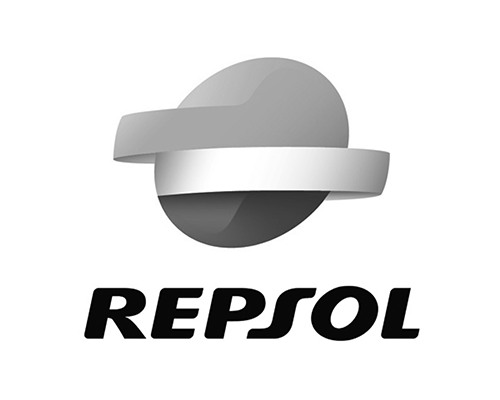 software CAE utilizado por Repsol